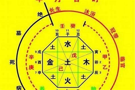 喜神 木|八字的喜用神与忌神详解